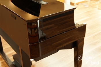 ハイブリッドピアノ N1X