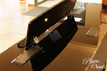 ハイブリッドピアノ N1X