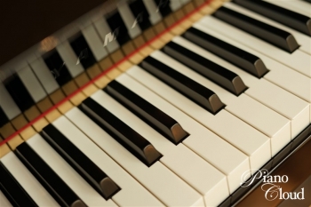 ハイブリッドピアノ N1X