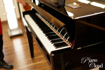 ハイブリッドピアノ N1X