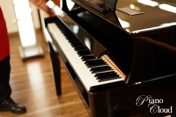 ハイブリッドピアノ N1X