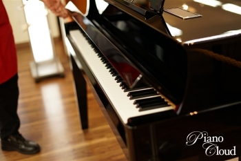 ハイブリッドピアノ N1X