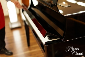 ハイブリッドピアノ N1X