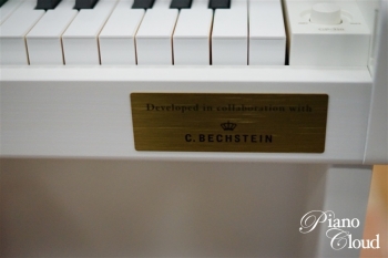 電子ピアノ GP-310WE CELVIANO