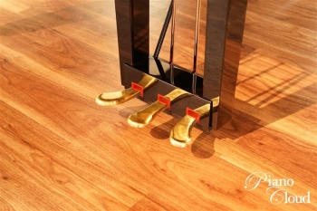 グランドピアノ C3X espressivo