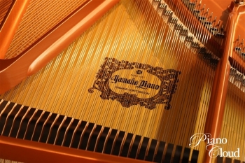 グランドピアノ C3X espressivo