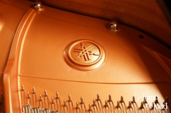 グランドピアノ C3X espressivo