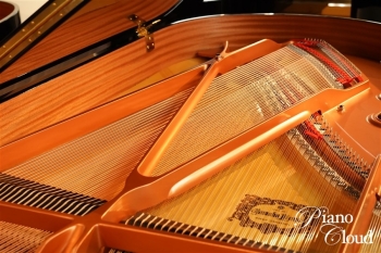 グランドピアノ C3X espressivo