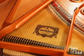 グランドピアノ C3X espressivo