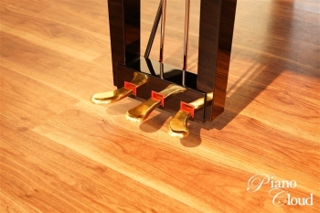 グランドピアノ C3X espressivo