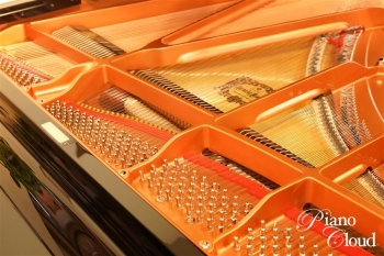 グランドピアノ C3X espressivo