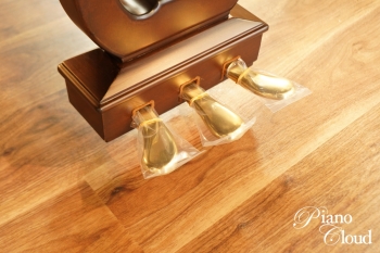 中古グランドピアノ G2E CP