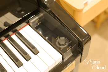 電子ピアノ　GP-510BP