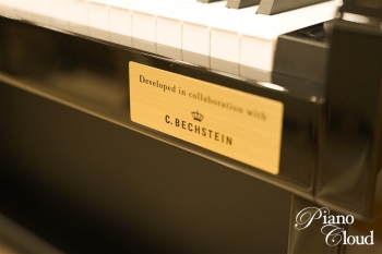 電子ピアノ　GP-510BP