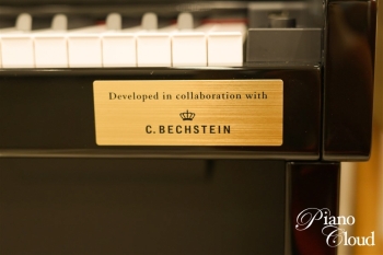 電子ピアノ　GP-510BP