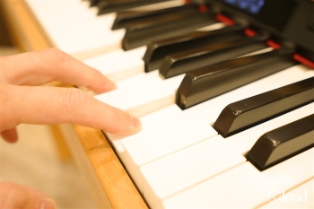 電子ピアノ　DP603-NBS