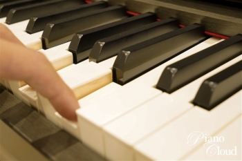 電子ピアノ CLP-745DW