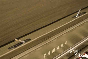 電子ピアノ CLP-745DW