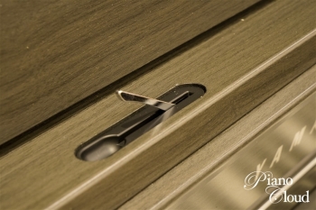 電子ピアノ CLP-745DW