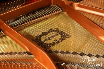 グランドピアノ C3X espressivo