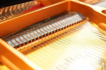 中古グランドピアノ C3 Artistic Edition(消音機能付き) 