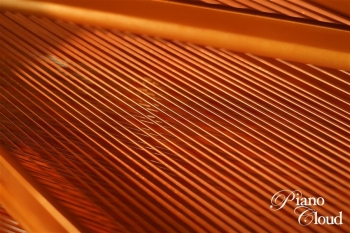 中古グランドピアノ C5