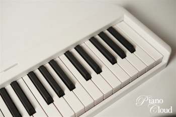 キーボード　KDP-61P