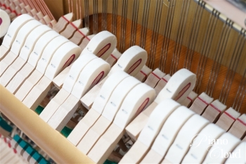 中古アップライトピアノ W120BW