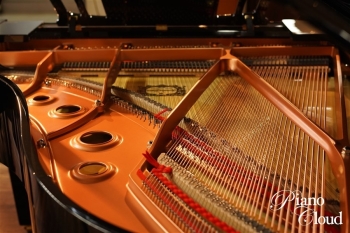 グランドピアノ C3X espressivo