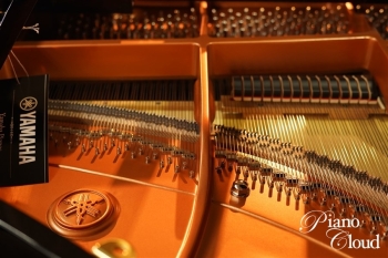 グランドピアノ C3X espressivo