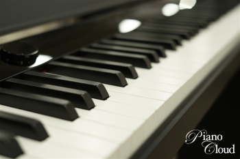 電子ピアノ　PX-S5000 BK