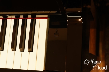 ハイブリッドピアノ NU1XA