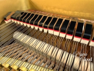 中古グランドピアノ G2E