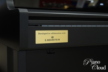 電子ピアノ AP-750 BK