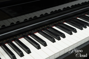 電子ピアノ AP-750 BK