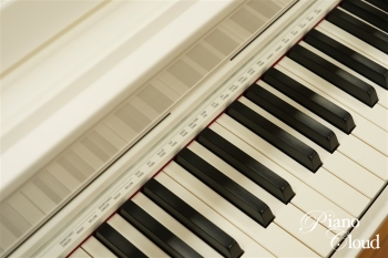 電子ピアノ AP-S450