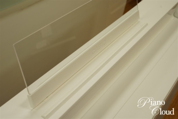 電子ピアノ AP-S450