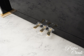 アップライトピアノ R2 Millenium