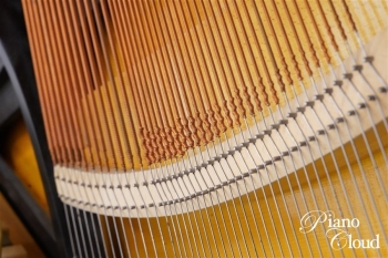 アップライトピアノ R2 Millenium