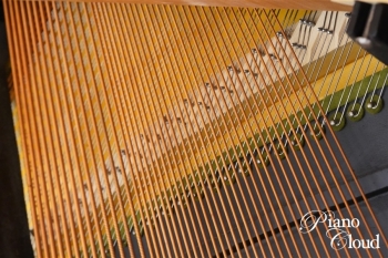 アップライトピアノ R2 Millenium