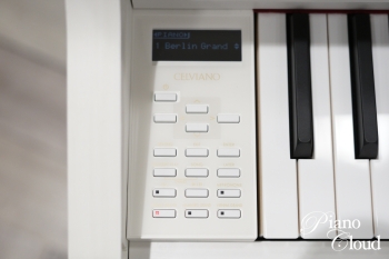 電子ピアノ　GP310WE