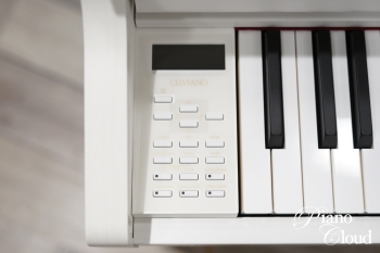 電子ピアノ　GP310WE