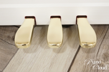 電子ピアノ　GP310WE