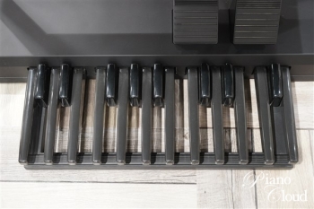 エレクトーン　ELS-02C