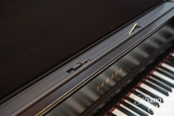 クラビノーバ CLP-875