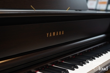 クラビノーバ CLP-875