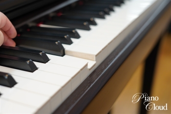 クラビノーバ CLP-875