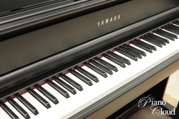 クラビノーバ CLP-875