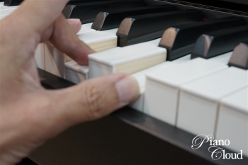 CELVIANO セルビアーノ AP-550