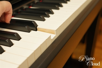 クラビノーバ CLP-845